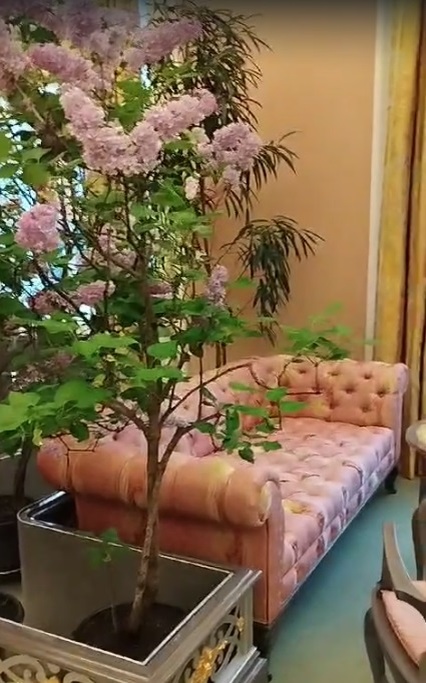 Сирень в Александровском дворце Царского села