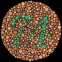    Пример тестовой тестовой пластины Ишихара. Люди с обычным цветным зрением должны четко увидеть число «74». /wikimedia.org