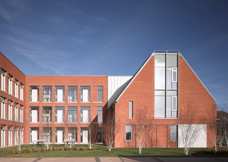 Фото из интернета. Школа.