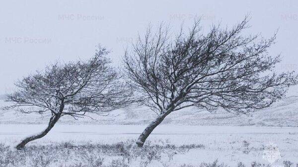    © Главное управлениеМЧС Россиипо Краснодарскому краю