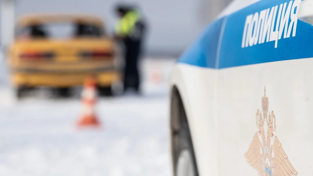    Фото: Ilya Moskovets/URA.RU/Globallookpress