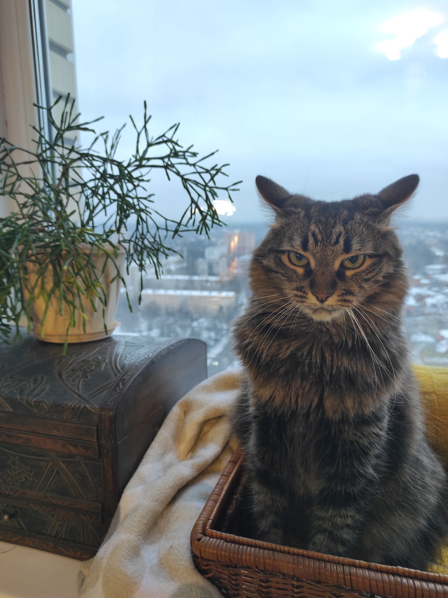 Когда встал не с той ноги и все тебя бесят