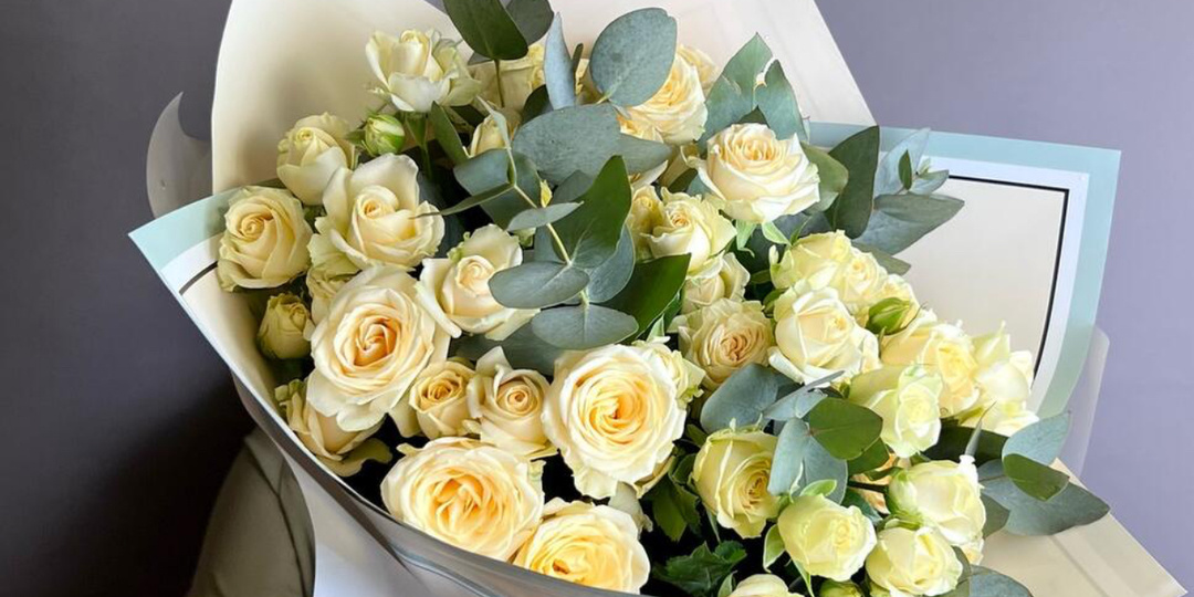 День Рождения 🎂!