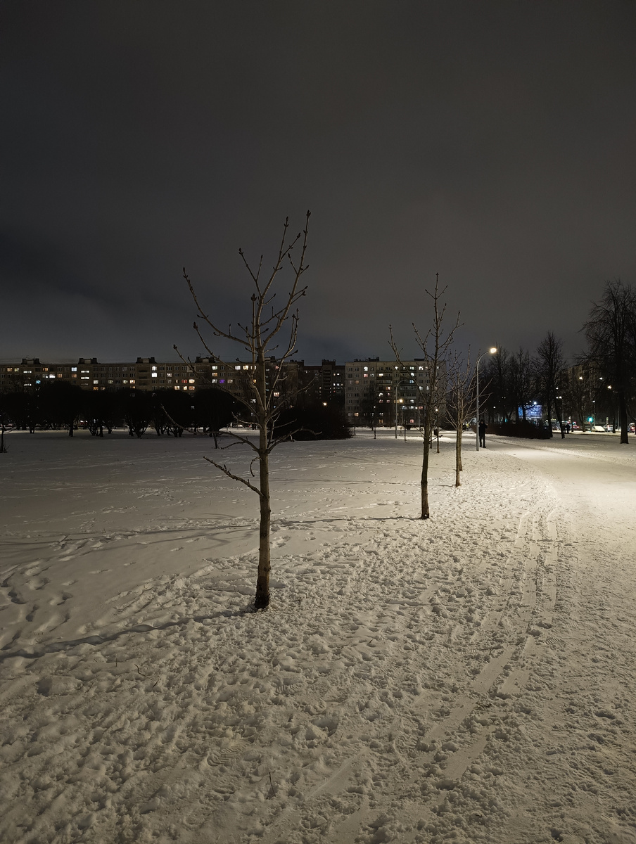 Фото автора.