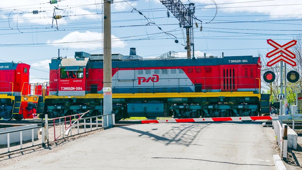 Фото взято из открытых источников