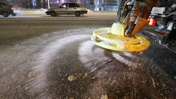    © РИА Новости . Максим Богодвид