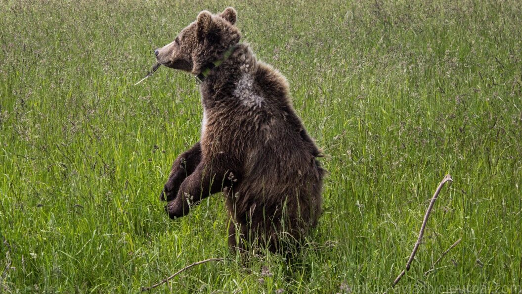    Andrey Ivanov/Globallookpress