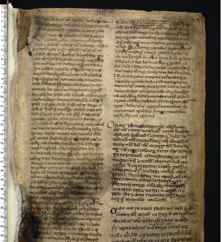 Книга бурой коровы. Крупный шрифт - почерк А, остальное - М, то есть Маэл Муире.