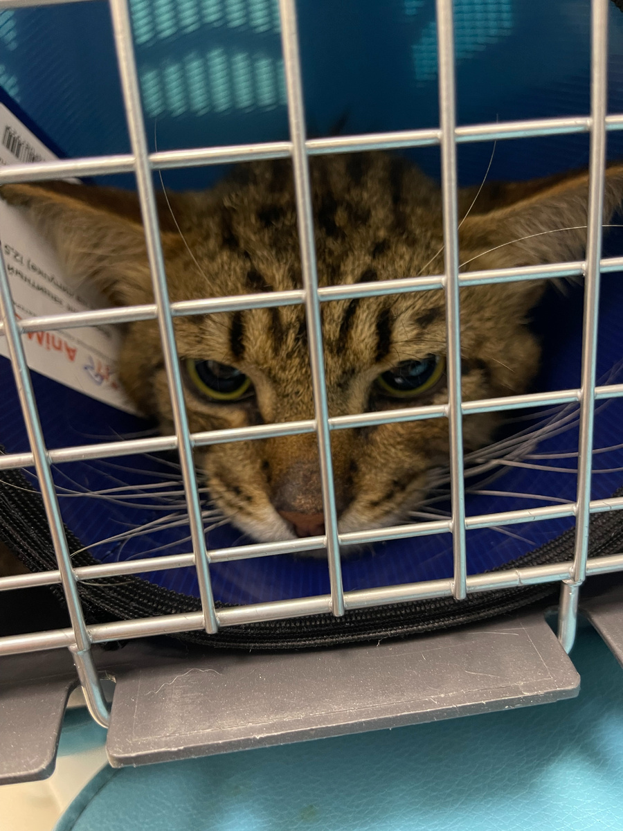 Приехали на операцию в другую клинику