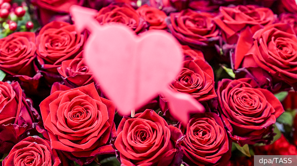     Фото: dpa/TASS   
 Текст: Валерия Городецкая