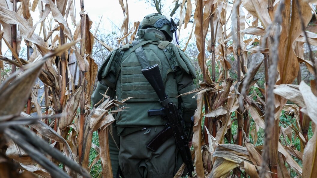    Фото: Shatokhina Natalya/Globallookpress