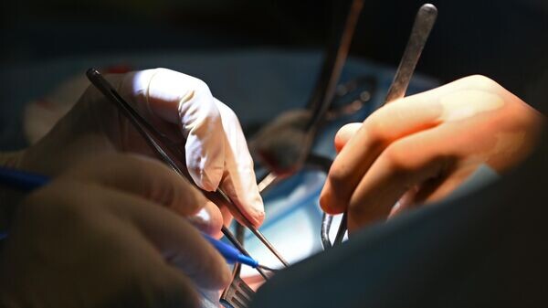    © Sputnik / Григорий Сысоев