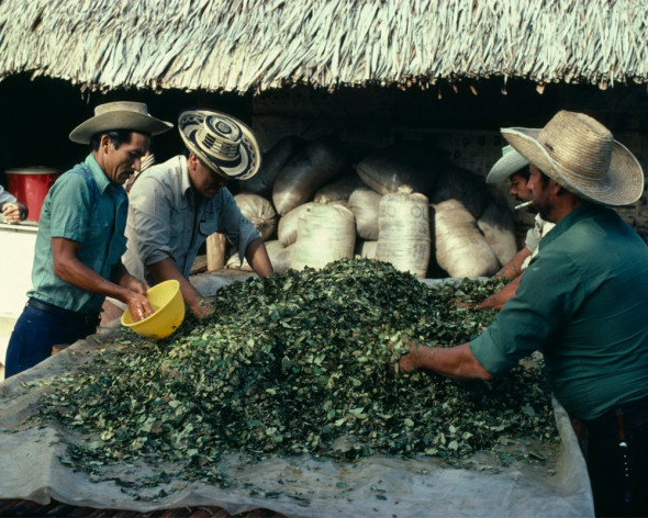 Фото: Global Look Press