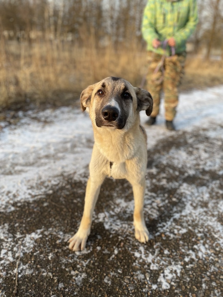 Ну красавчик же!