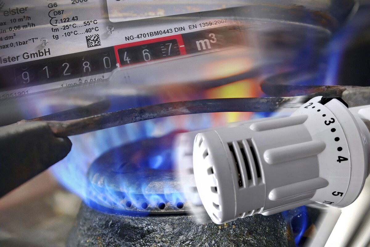     / Источник: © Global Look Press