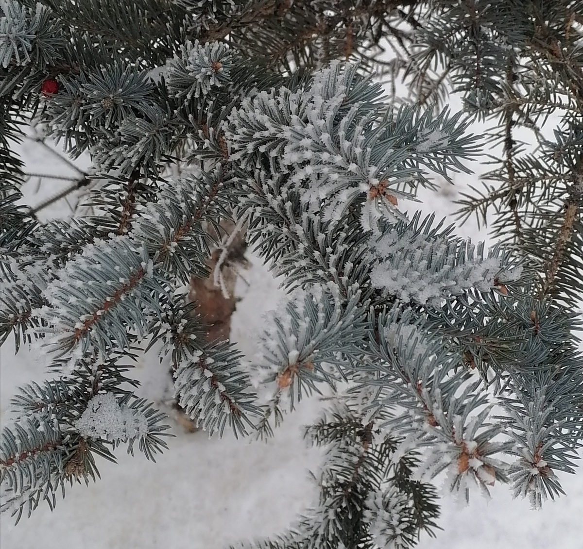 Ну как такое не показать? Утренний туман превратился в такую красотищу!