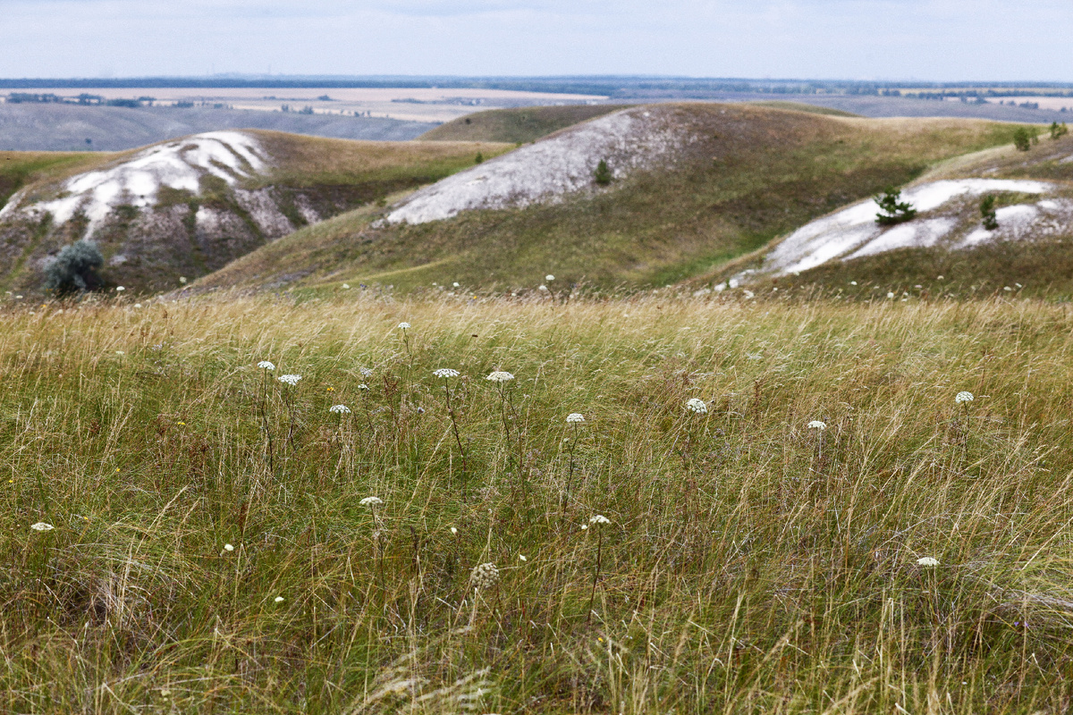 Тушнинские холмы в Ульяновской области.