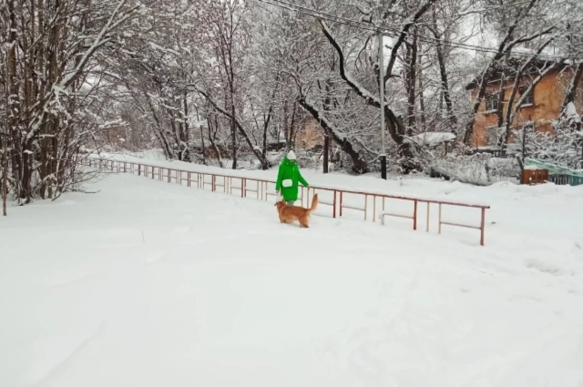    Погода: 7 февраля в Хабаровске циклон и... пятница, как повод для радости