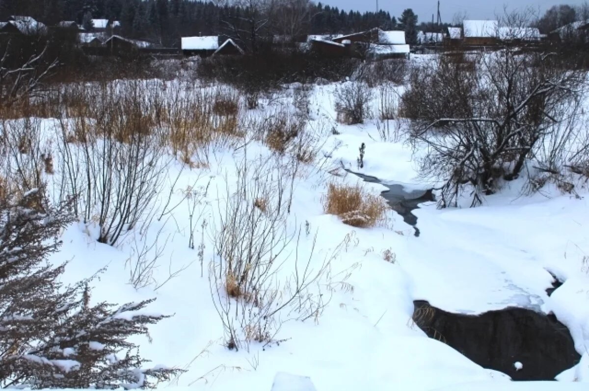    О страшных запретах в Григорьев день рассказали жителям Новосибирска