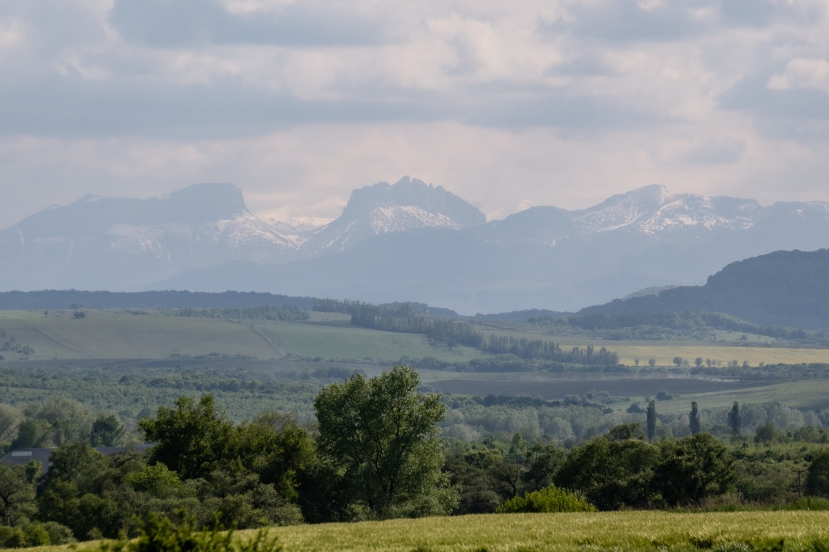 Фото: Антон Приходько