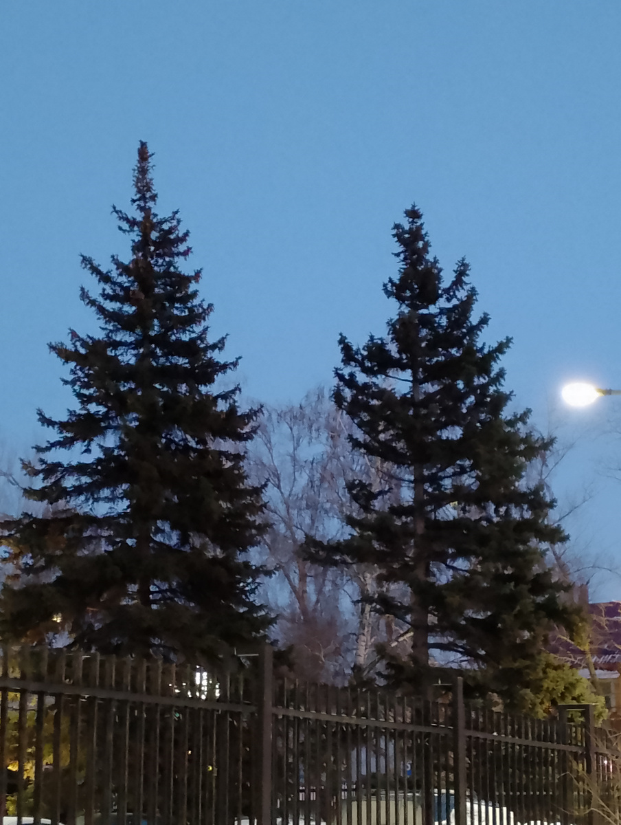 Рядом с домом