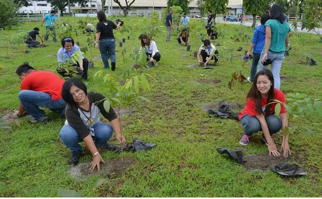 Студентки очень хотят диплом