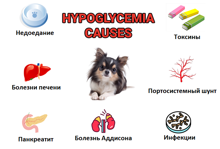 Причины гипогликемии
