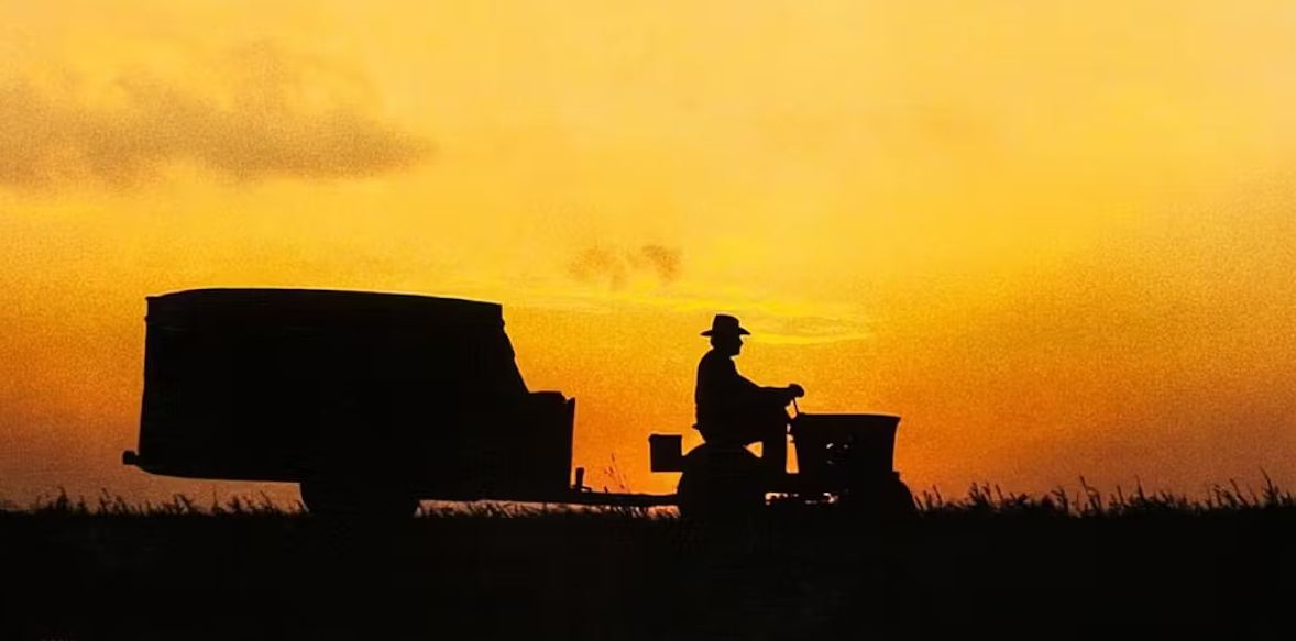 Главный герой «Простой истории» Дэвида Линча - немощный старик, который едет на газонокосилке по провинциальной Америке