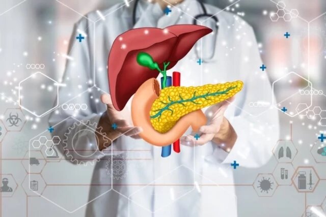    Где находится поджелудочная?