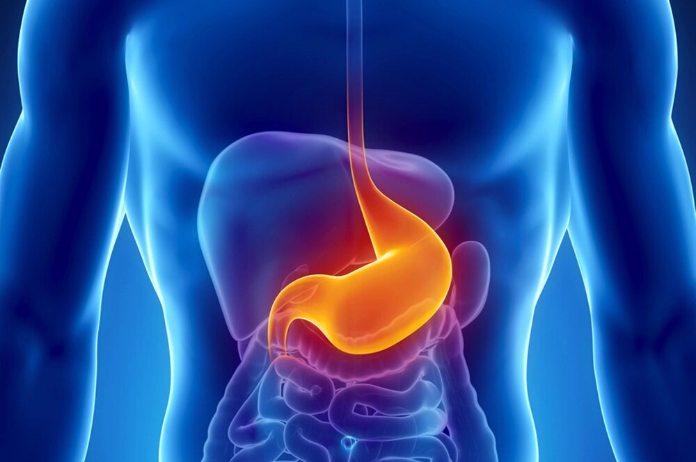    Фото: istockphoto.com/ janulla