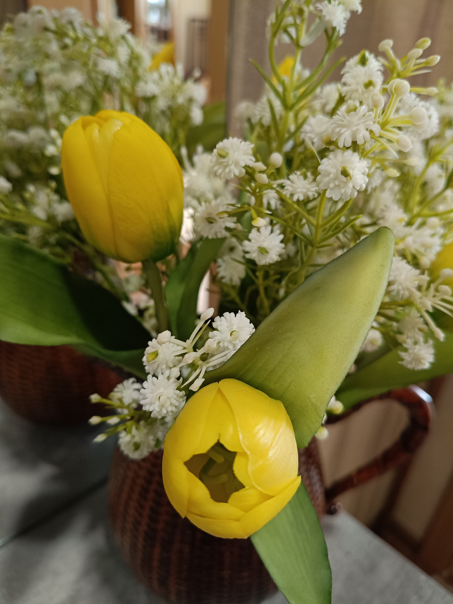 Просто фото