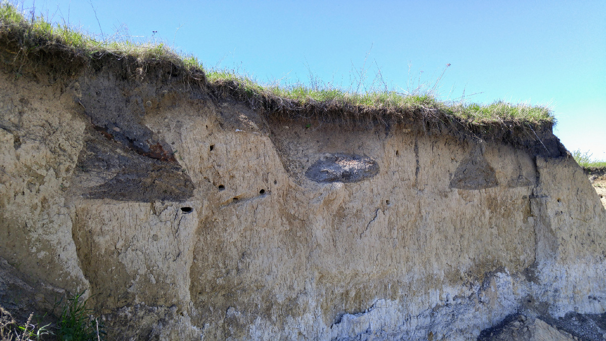 Около 20 треугольников насчитал.