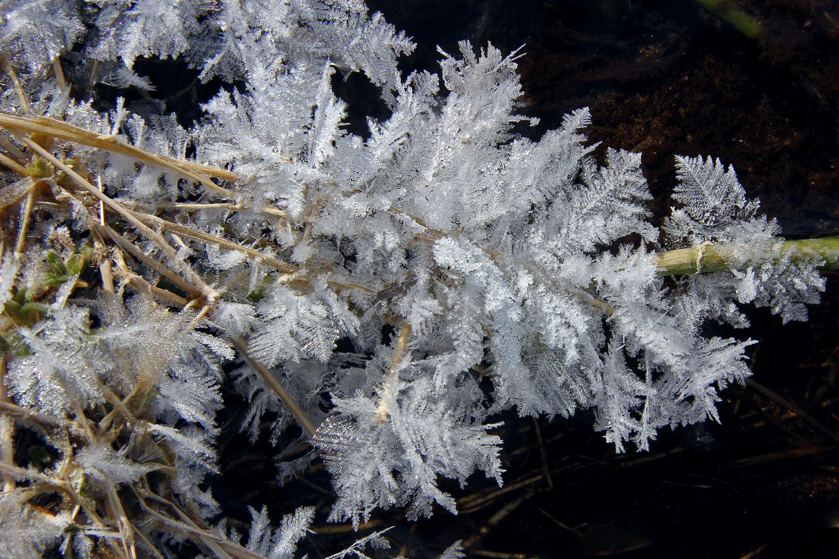 Листайте галерею, чтобы увидеть все фото Сергея Шитикова.