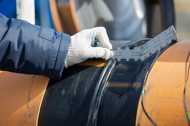    mos.ru Анфиса Слепцова