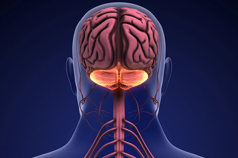    Фото: istockphoto.com/ Jitendra Jadhav