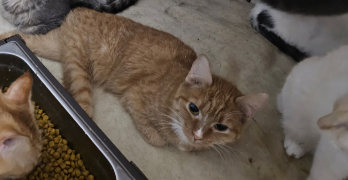 Фото автора. Яша девочка спинальница.