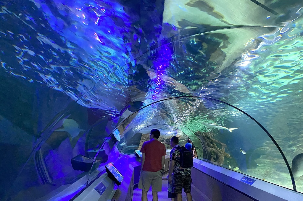 Подводный тоннель в океанариуме, Саншайн Кост, Квинслэнд, Австралия; здесь и далее фото взяты из домашнего архива