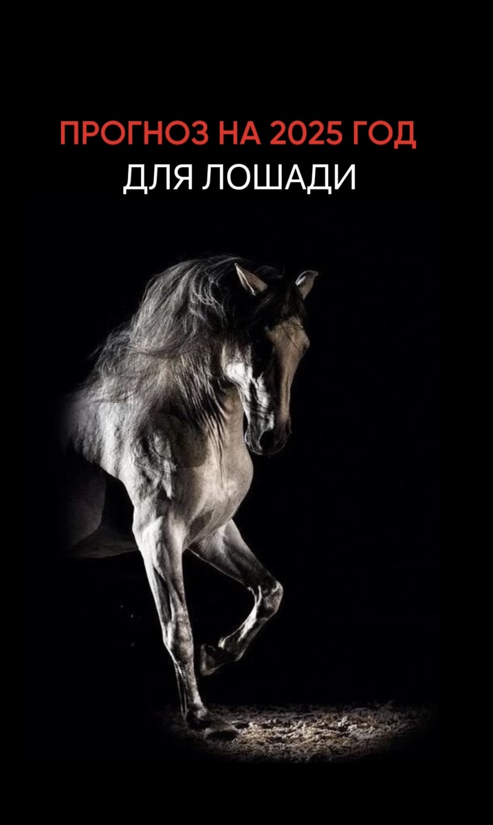Индивидуальный прогноз по каждому элементу личности на 2025 год можно забрать здесь 👇