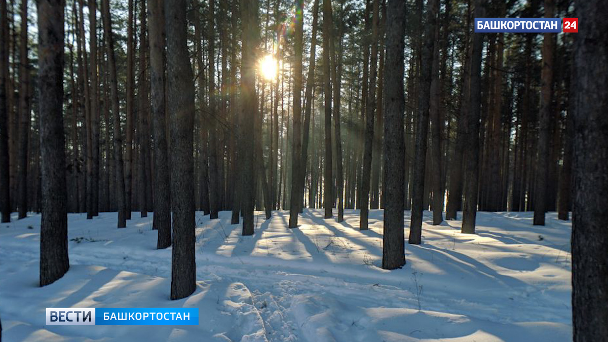    Потепление до +3 градусов ожидается в Башкирии в выходные