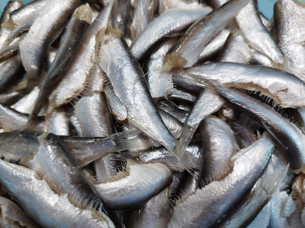 тюлька малосольная очищенная