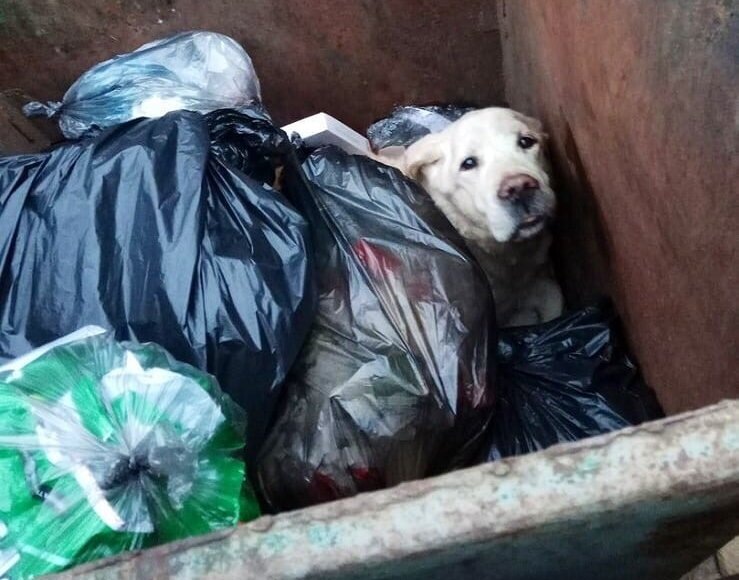     Фото: truehunter.ru