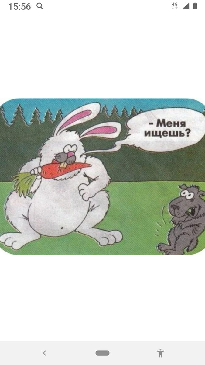 Картинки взяты из интернета