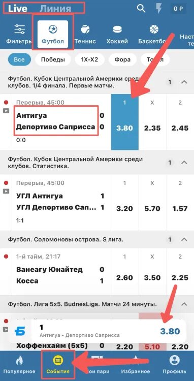    Раздел «Линия» и «Лайв»