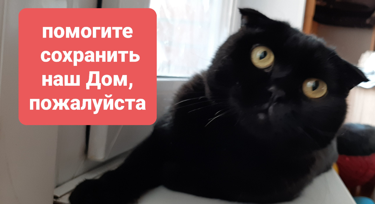 Витя. https://pikabu.ru/story/kotik_s_zapiskoy_i_kharakterom_11350328?utm_source=andlinkshare&utm_medium=sharing