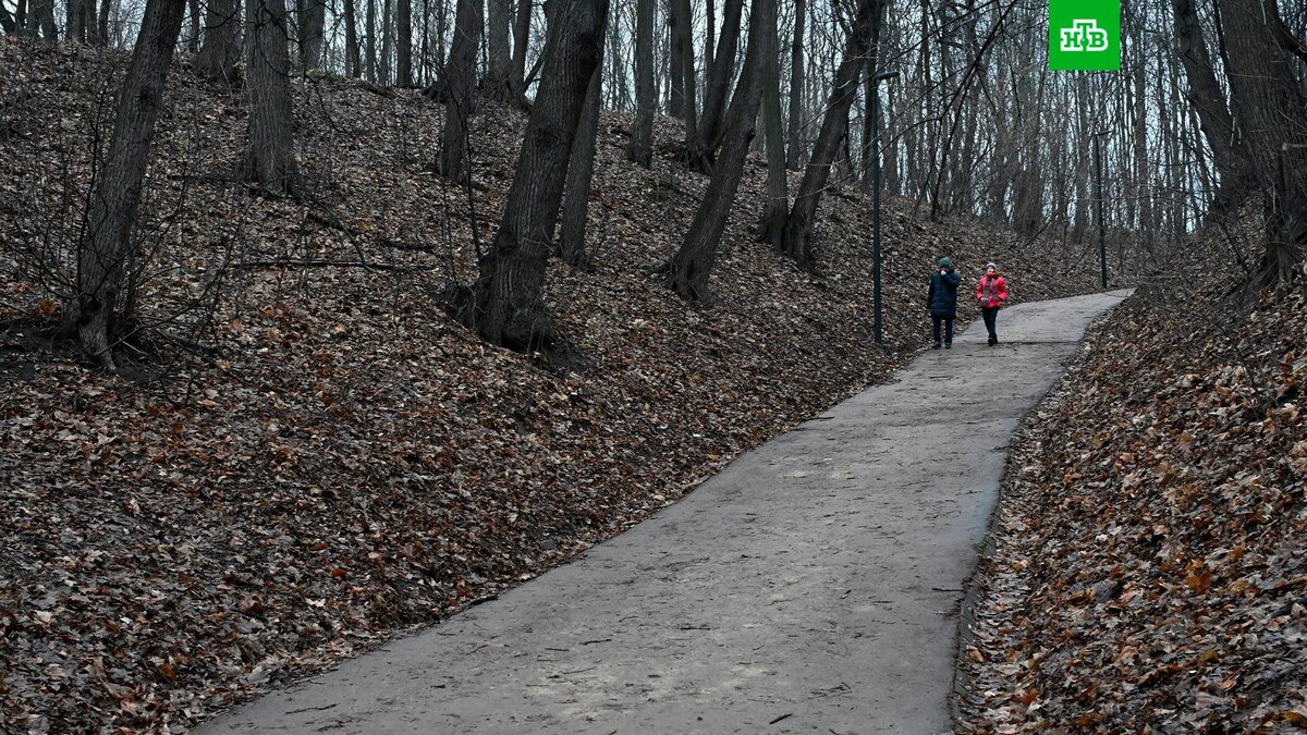    Фото: РИА Новости © 2025, Михаил Воскресенский