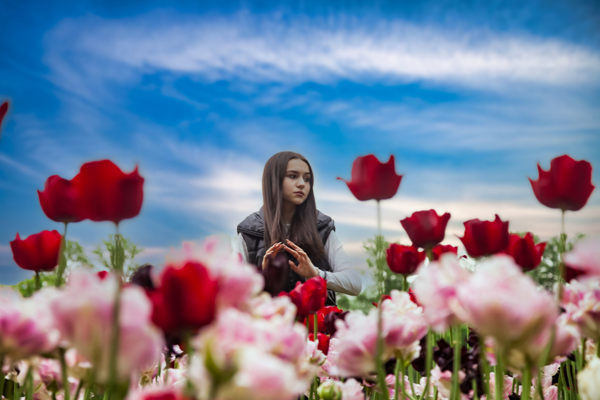 Автор: Aleksandr Golubev 