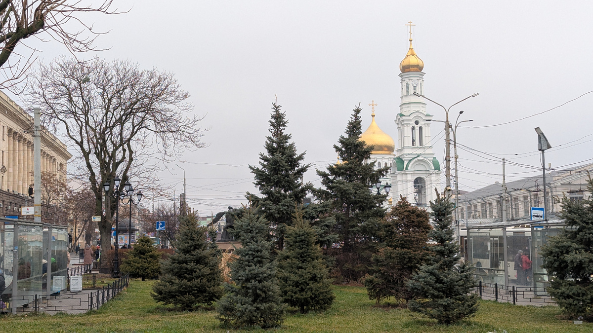 Ростов-на-дону 12 января 2025, здесь и далее фото автора