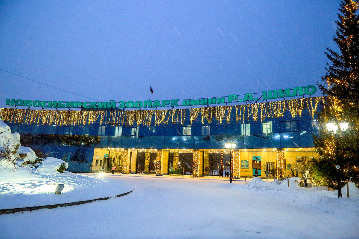 Фото: nsknews.info