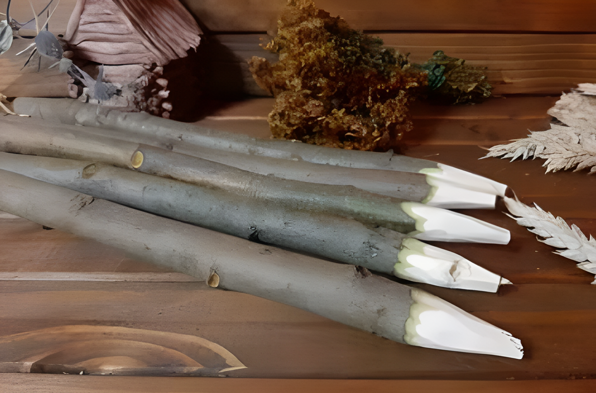 Свеженькие, только что из леса