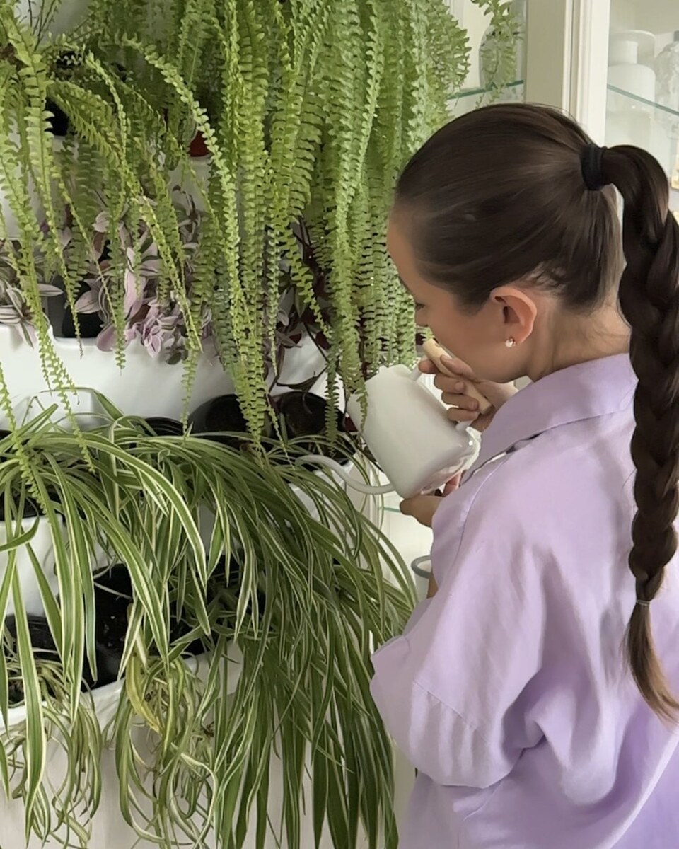 Горшки поливаются не поверхностно, а через поддон